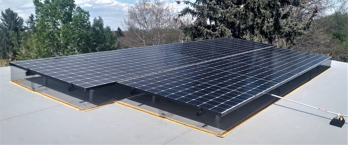 Wire mesh filling large gap between solar panels and flat roof