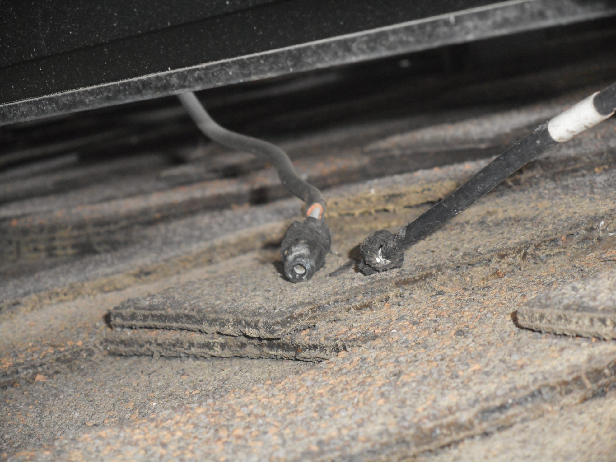How Pests Damage Solar PV Systems – Slick Tools LLC